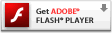 Adobe Flash Player̃_E[h